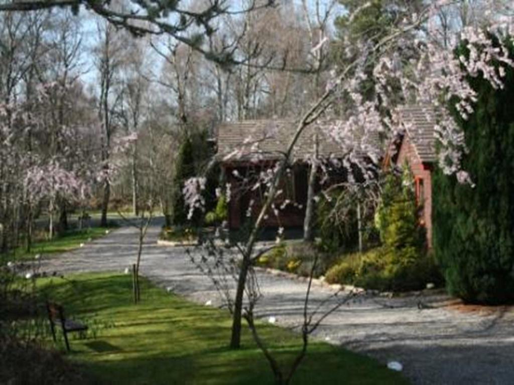 Tullochwood Lodges Forres Bilik gambar